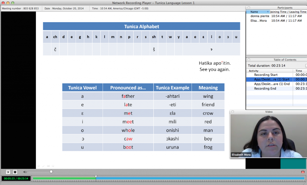 Images taken from prerecorded lessons.
